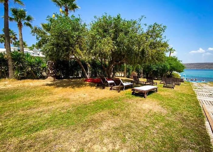 Ion Club Loft Bed & Breakfast